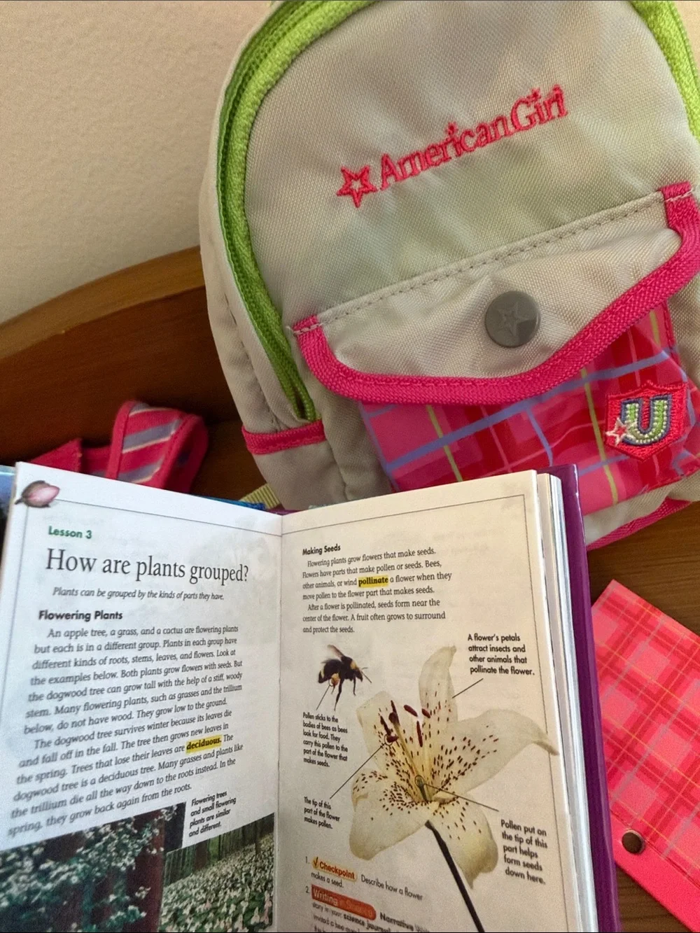 American Girl Doll Back to School Set